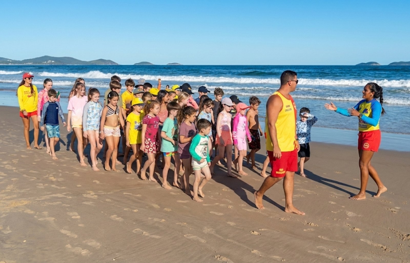 Programa Golfinho 2026 Chega à Praia do Ervino com Inscrições Abertas