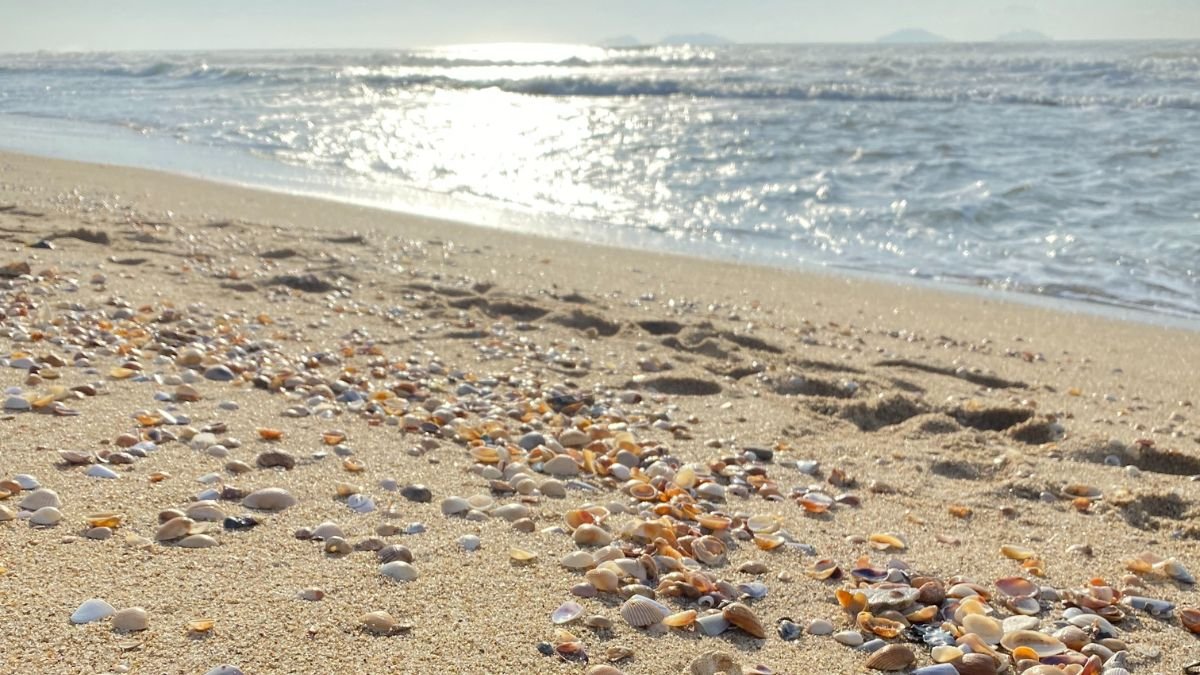O diálogo e a paz como ferramentas para o crescimento da Praia do Ervino.