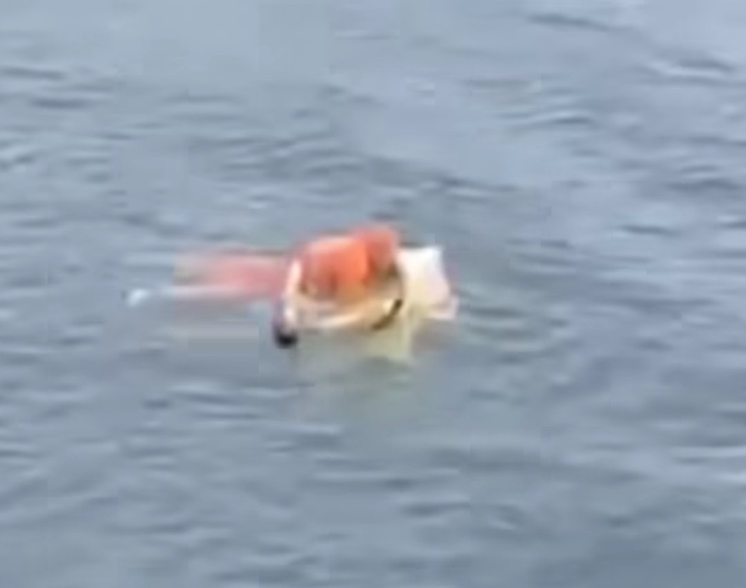 Equipe de resgate que encontrou Rodrigo Valmoci Bento