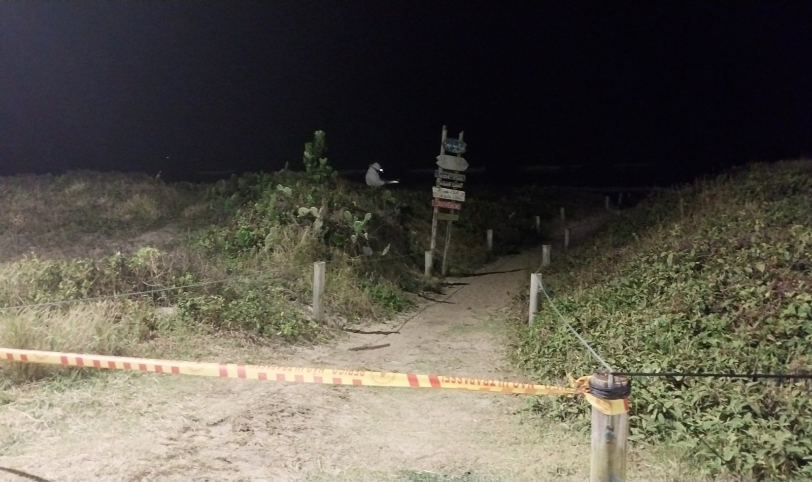 Localização do ninho de abelhas na restinga da Praia do Ervino