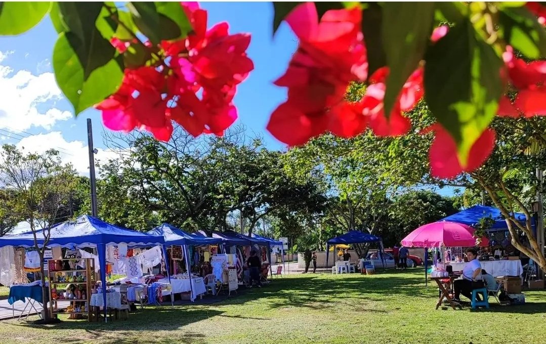 Arte e cultura na Feira Bupeva